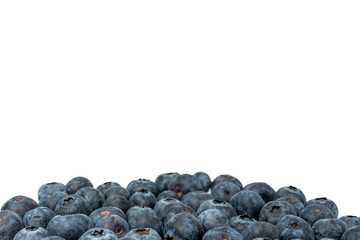 handful of fresh blueberry as bottom frame line on light background, copy space
