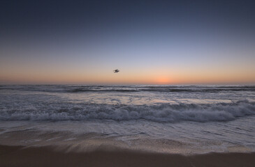 gaviota volando sobre el mar en el ocaso del dia