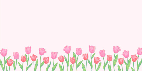 チューリップのイラスト　春の背景　ピンクと赤の花