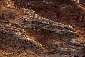 Rock Formation In The Desert Below Dead Horse Point