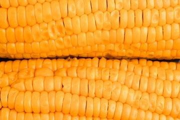 corn texture, yellow boiled corn is very close, boiled corn