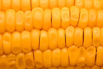 corn texture, yellow boiled corn is very close, boiled corn