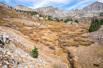 Alpine Basin in the Collegiate Wilderness, Colorado
