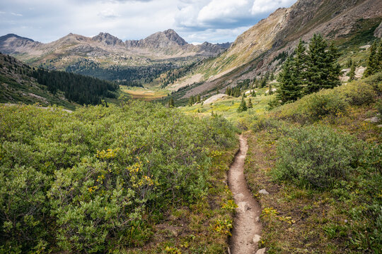 Hiking trail in the Hunter-Fryingpan Wilderness, Colorado