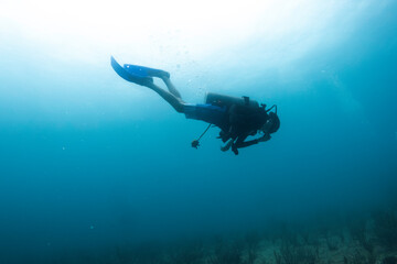 scuba diver in the caribbean sea enjoying the coral reef