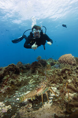 scuba diver in the caribbean sea enjoying the coral reef of cozumel
