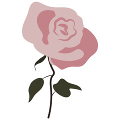 Rose, flower vector flat illustration