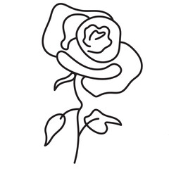 Rose, floral vector linear illustration