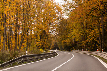 Fototapeta premium Autumn view of I11 road, Czech Republic