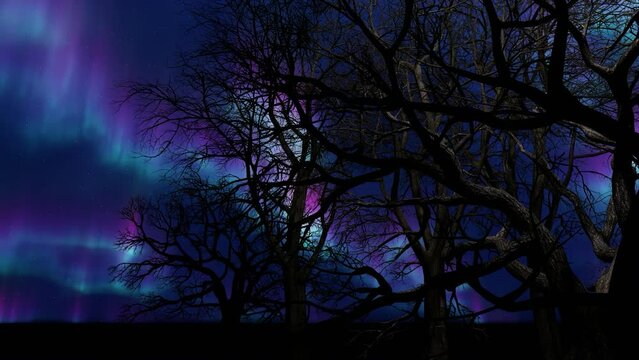 Northern Lights-Aurora Lights Beautiful romance background. Sky Time Lapse