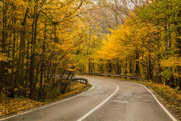 Autumn view of II360 road between Letohrad nad Usti nad Orlici, Czech Republic