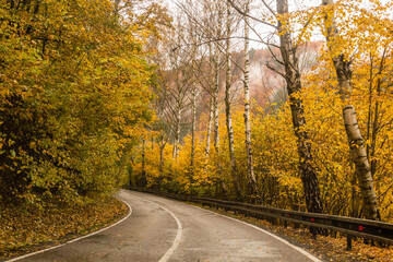 Autumn view of II360 road between Letohrad nad Usti nad Orlici, Czech Republic