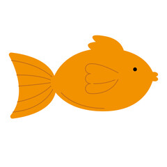 gold fish pet