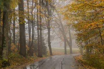 Obraz premium Autumn view of a road near Letohrad, Czech Republic