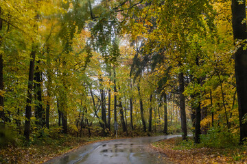 Autumn view of a road near Letohrad, Czech Republic