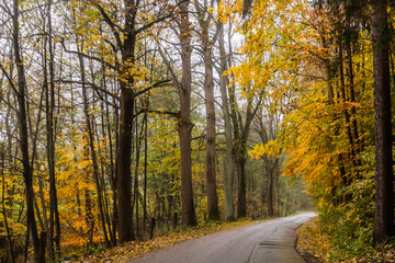 Autumn view of a road near Letohrad, Czech Republic
