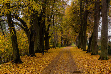 Autumn view of a path in Potstejn village, Czech Republic