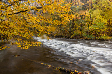 View of Divoka Orlice river near Potstejn, Czech Republic