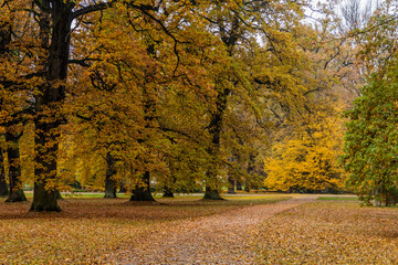 Autumn view of the palace garden in Zamberk, Czech Republic