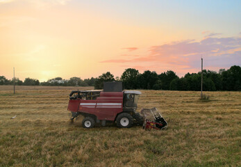 Spring wheat harwesting. Wheat and corn markets react in crisis world’s breadbasket. Wheat import, maize (corn), soybeans. Global crop prices in food crisis. Global food inflation and hunger. 