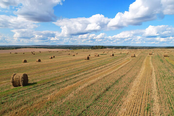 Haystack on field on blue sky background. Hay bale from residues grass. Hay stack in agriculture....