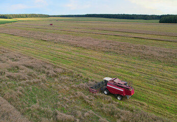 Spring wheat harwesting. Wheat and corn markets react in crisis world’s breadbasket. Wheat import, maize (corn), soybeans. Global crop prices in food crisis. Global food inflation and hunger. 