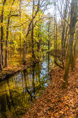 Obraz premium Autumn view of Botic stream in Prague, Czech Republic