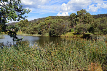 Lake Pillans wetlands near Lithgow, Australia