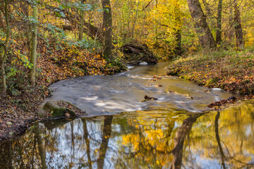 Autumn view of Botic stream in Prague, Czech Republic