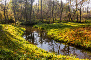 Autumn view of Botic stream in Prague, Czech Republic