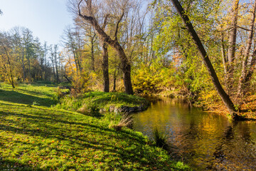 Autumn view of Botic stream in Prague, Czech Republic