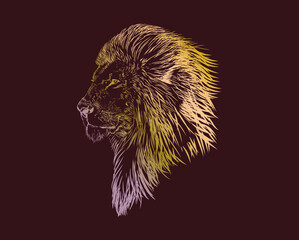 Lion head abstract hand drawing art vector