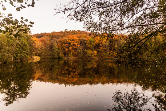 Labut pond in Prague, Czech Republic