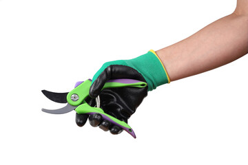Hand in glove holds garden pruning shears, isolated on white background 