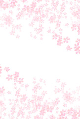 桜　春　花　背景
