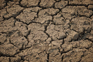 Dry cracked earth parched in the sun in spring. Mosaic pattern. Natural texture.