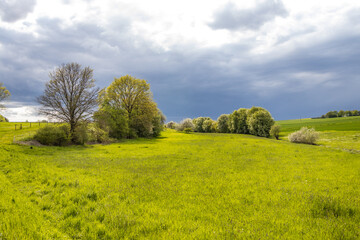 Meadows with dramatic Clouds