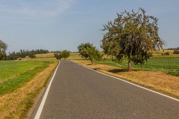 Fototapeta na wymiar Rural road near Tabor, Czech Republic