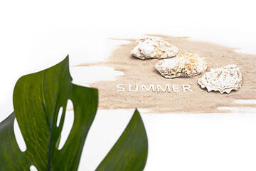 Summer mood creative arrangement. Monstera palm leaf, beautiful seashells, summer - word on white sands. 