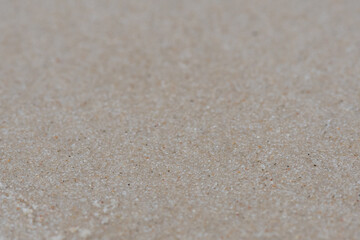 Fototapeta na wymiar Narrow Focus of Wet Sand Beach
