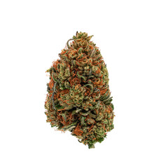 Marijuana Cannabis bud on white background