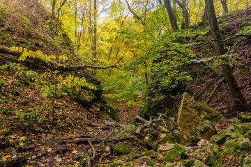 Landscape of Cesky kras nature protected area, Czech Republic