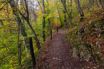 Fototapeta na wymiar Hiking trail in Cesky kras landscape park, Czech Republic