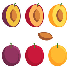 Set of colorful plums. Cartoon flat style. Plums, Isolated on a white background.