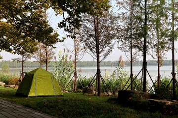 tent in the woods