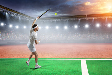 Professional tennis player . Mixed media