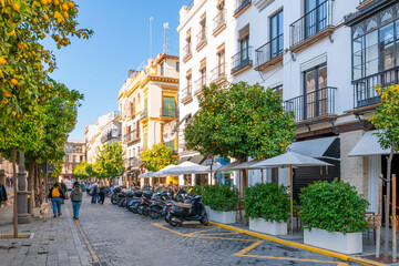 Obraz premium A typical Andalusian street lined with orange trees alongside the cathedral in the Barrio Santa Cruz district of Seville, Spain.