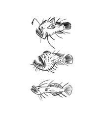 Angler Deep sea fish hand drawing set. Vector illustration