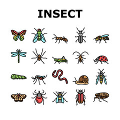 Insect, Spider And Bug Wildlife Icons Set Vector. Dragonfly And Butterfly, Ladybug And Cockroach, Grasshopper And Bumblebee, Mosquito And Caterpillar Insect Line. Color Illustrations