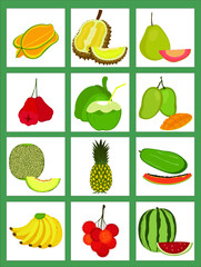 flat vector illustration design of exotic tropical fruit set 